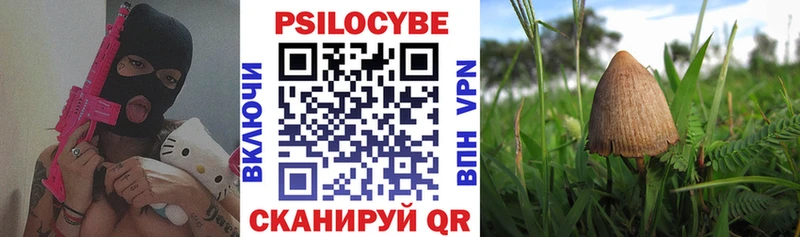 Псилоцибиновые грибы ЛСД  Элиста 